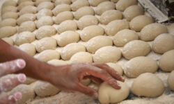 آیتمهای ۴گانه وزارت بهداشت در پایش نانواییها