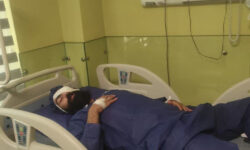 عیادت مدیرکل منابع طبیعی البرز از فرمانده مجروح یگان حفاظت منابع طبیعی اشتهارد