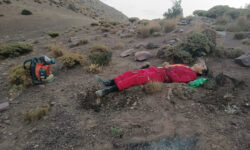 اطفای حریق در ارتفاعات شلمزار ساوجبلاغ پس از شش ساعت