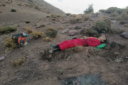 اطفای حریق در ارتفاعات شلمزار ساوجبلاغ پس از شش ساعت