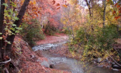 روایت زندگی، هنر و همبستگی اهالی