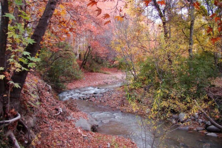 روایت زندگی، هنر و همبستگی اهالی