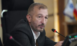 حضور دامپزشک متخصص در پیمان سگ های بلا صاحب ضرورت بهداشتی و حرفه ای است