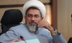 بودجه فعلی پناهگاههای سگ تنها مدیریت بحران است، نه حل مسئله