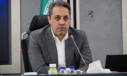 فعالان اقتصادی خواستار همراهی واقعی دولت شدند