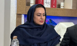 جنسیت در دریافت پیام عرفانی معنا ندارد